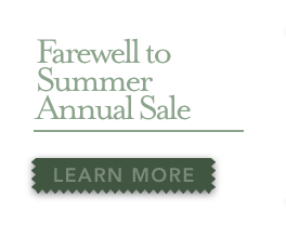 Christmas Event learn more.